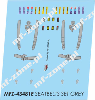 Decal 1/43 MF Zone - sada bezpečnostních pásů šedé